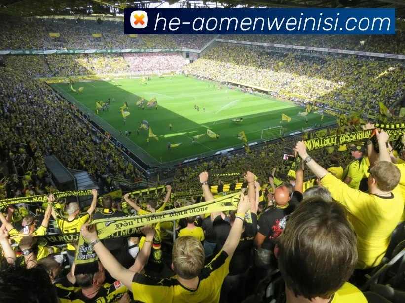 App Interface Preview