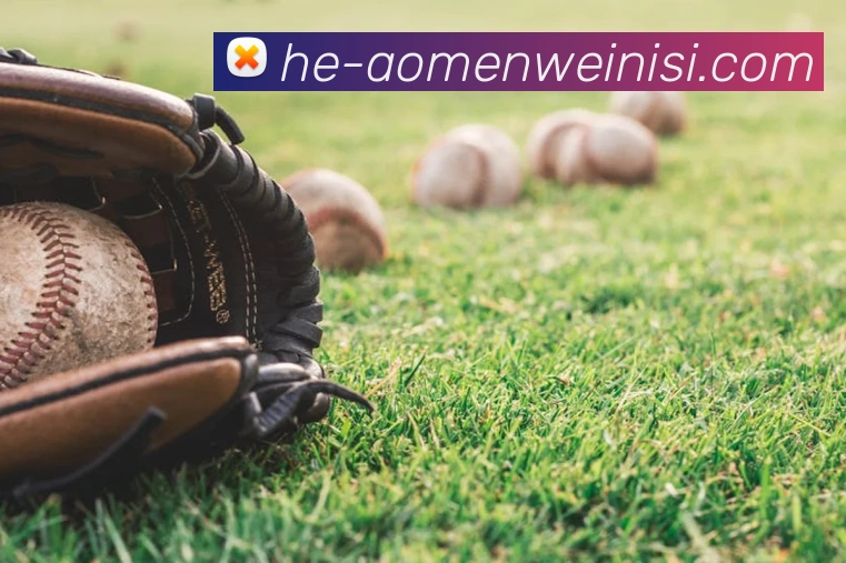 威尼斯人娱乐官网APP 封面图